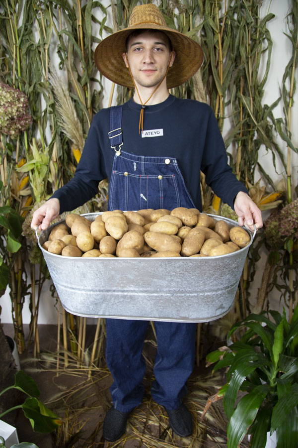 Artour Babaev potato harvest